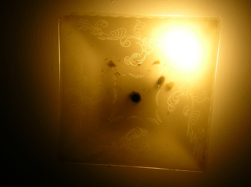 DSCN1370 